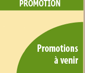 Promotion!